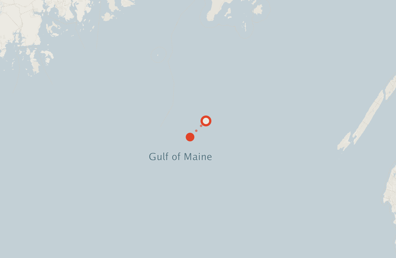 Activity map — real sighting points on an OpenStreetMap basemap