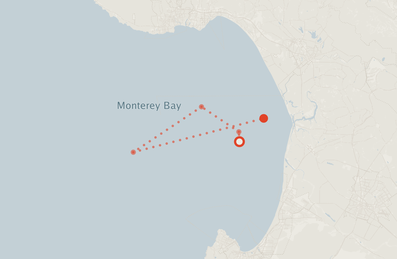 Activity map — real sighting points on an OpenStreetMap basemap