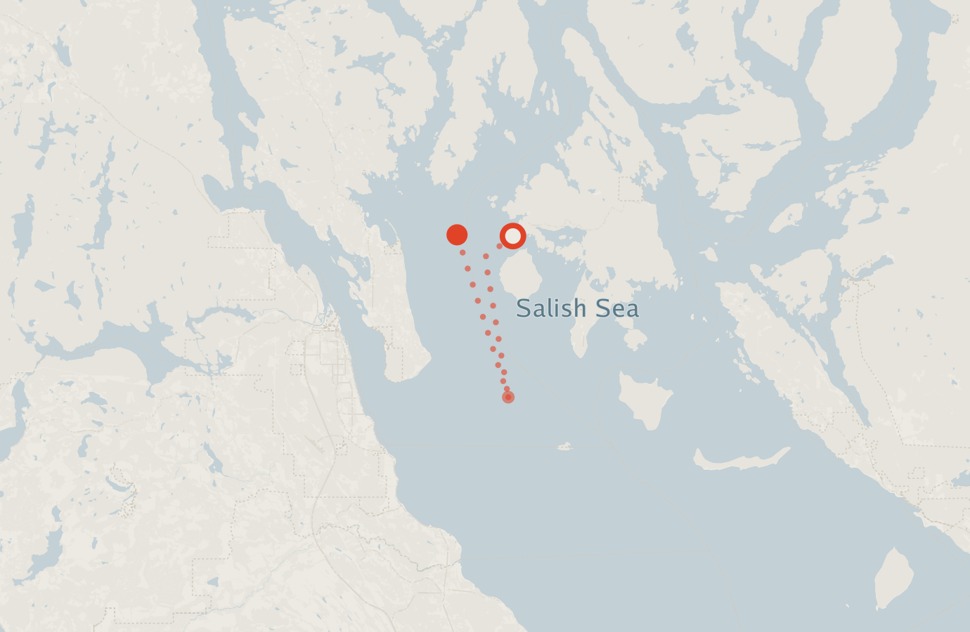Activity map — real sighting points on an OpenStreetMap basemap
