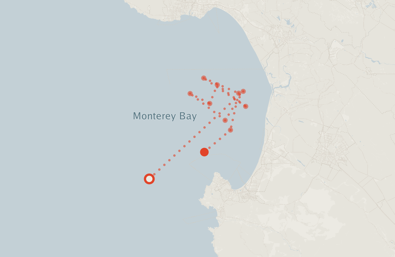 Activity map — real sighting points on an OpenStreetMap basemap