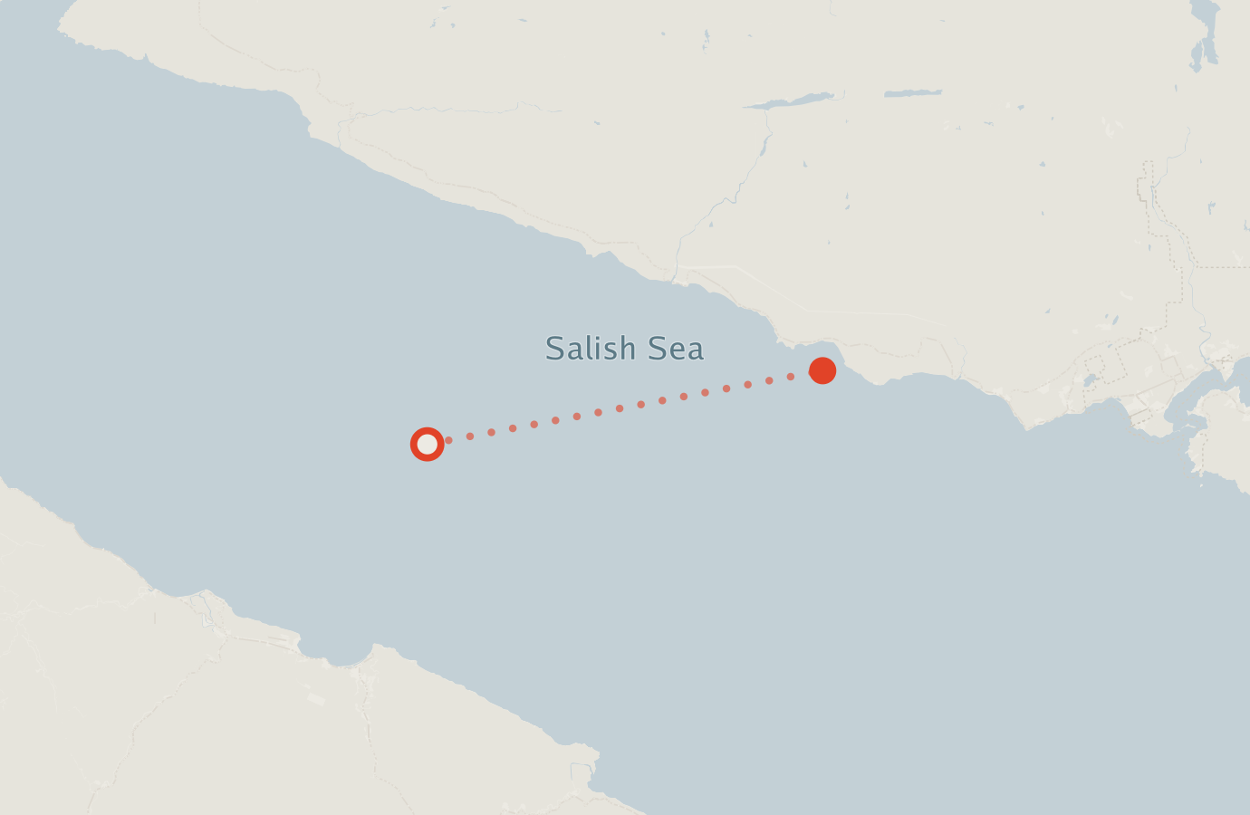 Activity map — real sighting points on an OpenStreetMap basemap