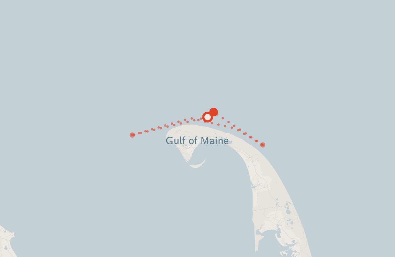 Activity map — real sighting points on an OpenStreetMap basemap