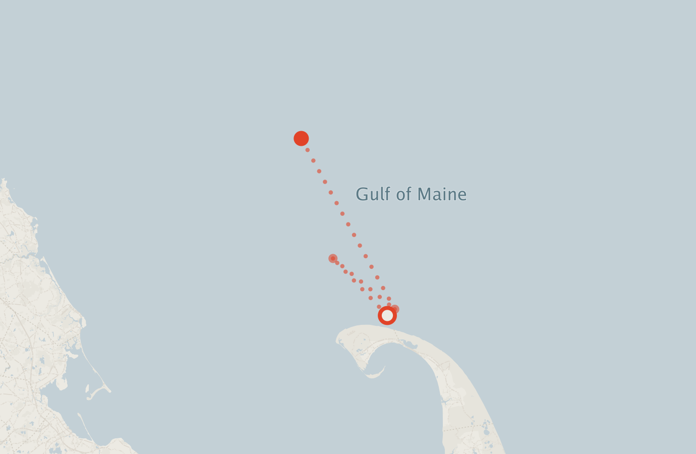 Activity map — real sighting points on an OpenStreetMap basemap