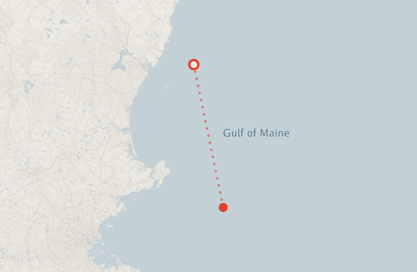 Activity map — real sighting points on an OpenStreetMap basemap
