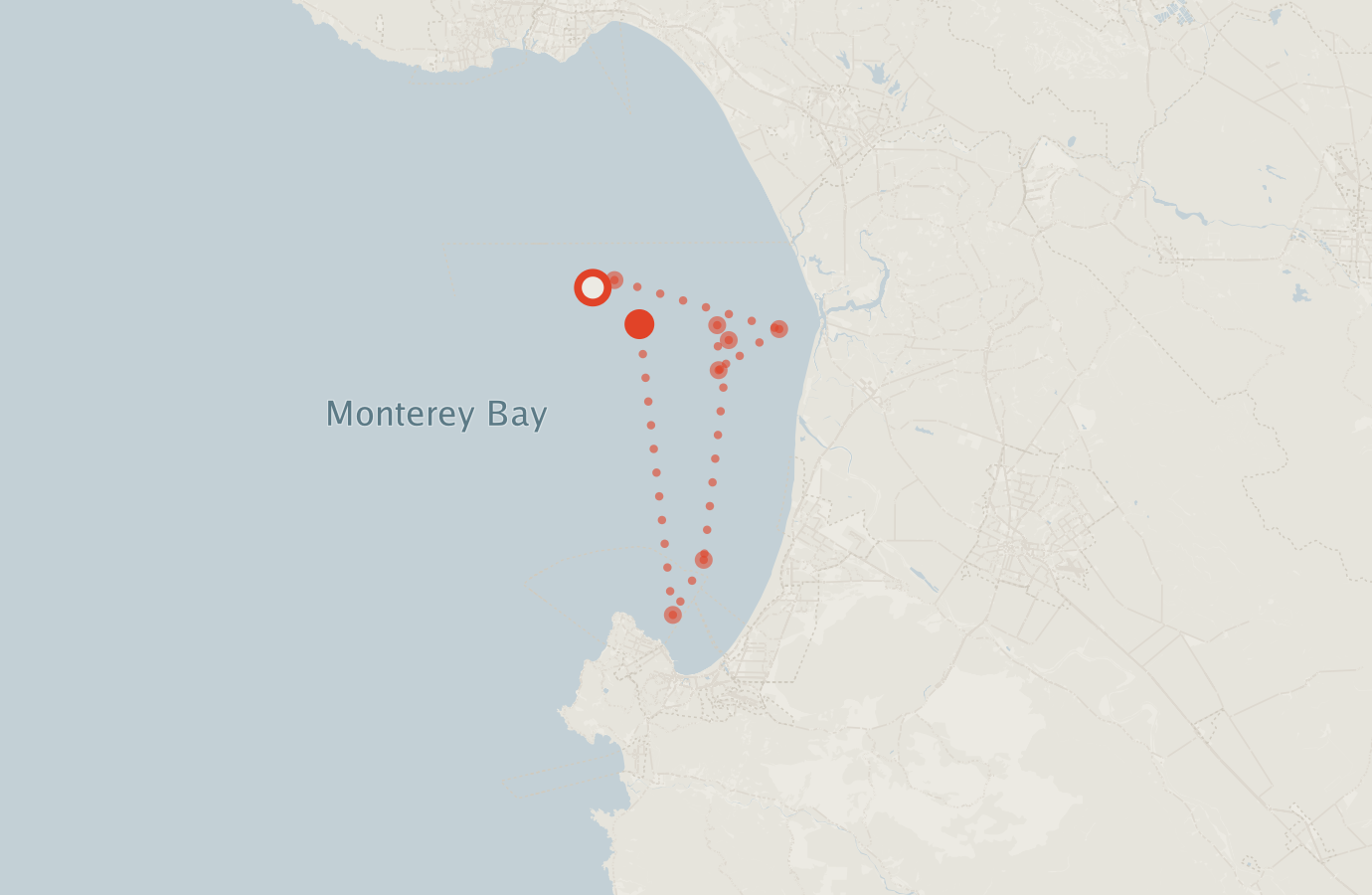 Activity map — real sighting points on an OpenStreetMap basemap