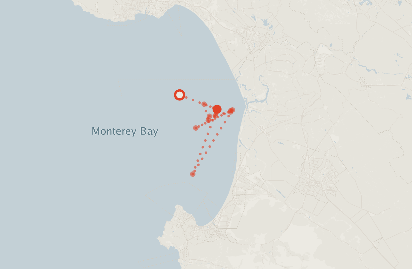 Activity map — real sighting points on an OpenStreetMap basemap