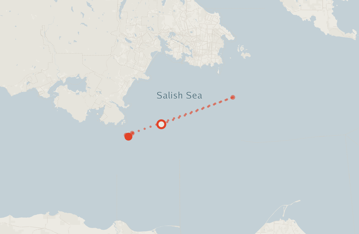 Activity map — real sighting points on an OpenStreetMap basemap