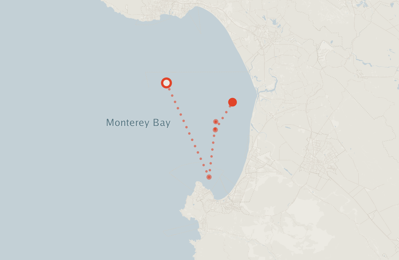 Activity map — real sighting points on an OpenStreetMap basemap