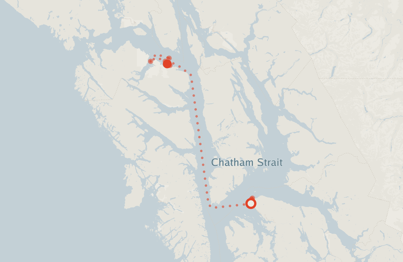 Activity map — real sighting points on an OpenStreetMap basemap