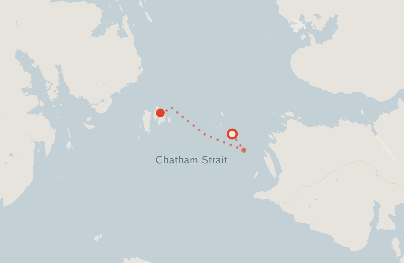 Activity map — real sighting points on an OpenStreetMap basemap