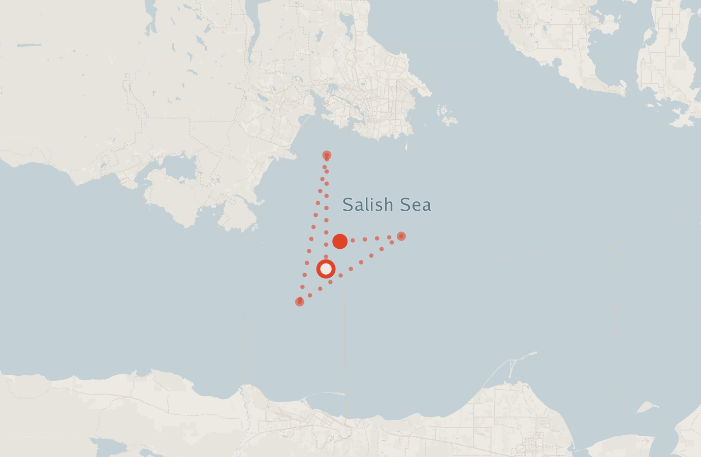 Activity map — real sighting points on an OpenStreetMap basemap