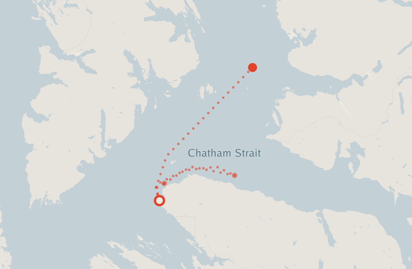 Activity map — real sighting points on an OpenStreetMap basemap