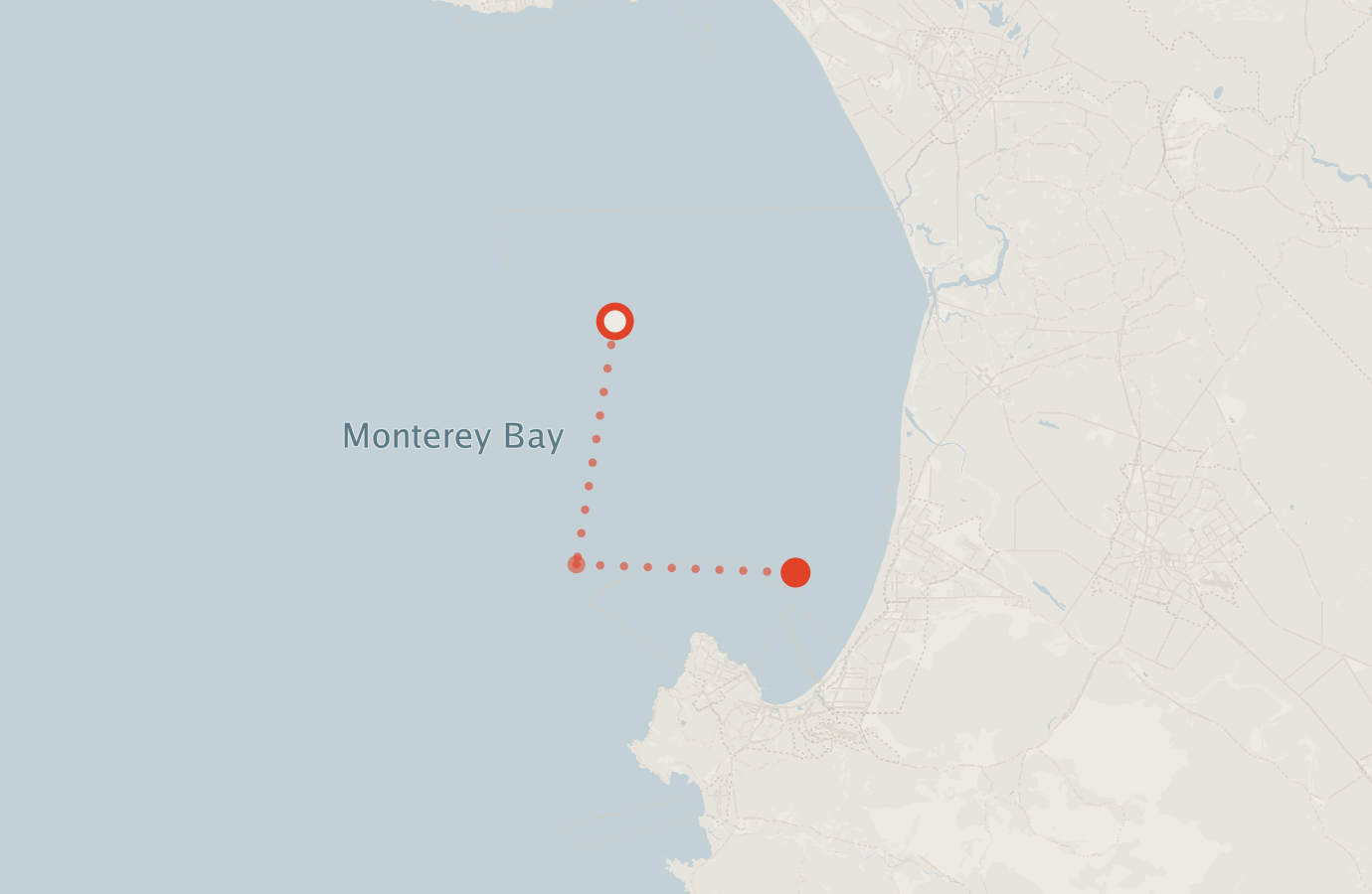 Activity map — real sighting points on an OpenStreetMap basemap