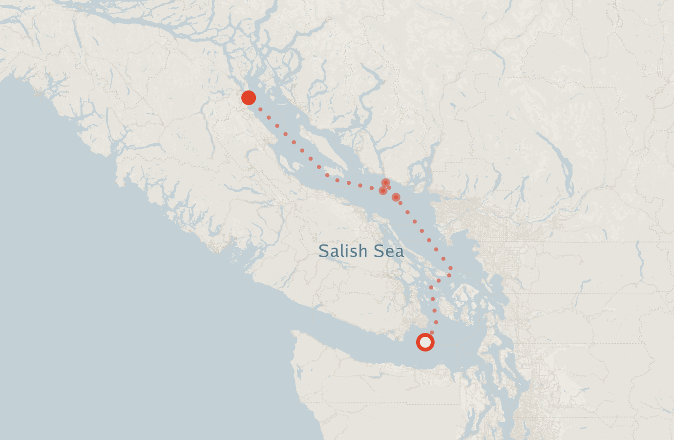 Activity map — real sighting points on an OpenStreetMap basemap