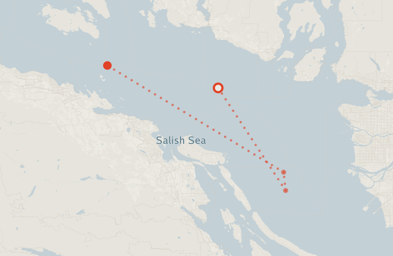 Activity map — real sighting points on an OpenStreetMap basemap