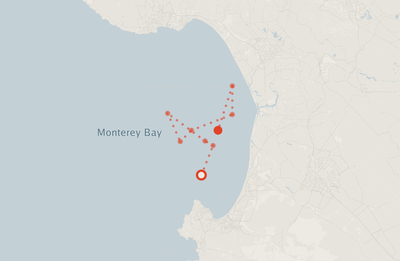 Activity map — real sighting points on an OpenStreetMap basemap