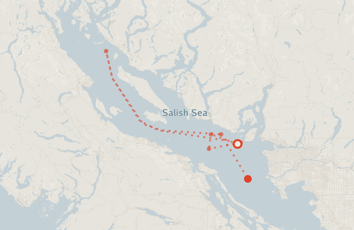 Activity map — real sighting points on an OpenStreetMap basemap