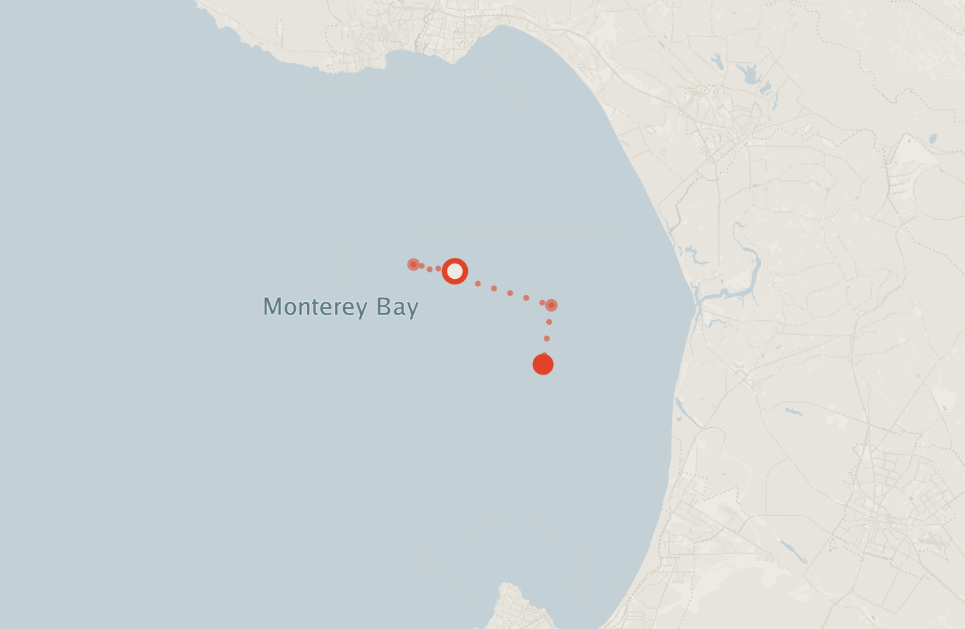 Activity map — real sighting points on an OpenStreetMap basemap