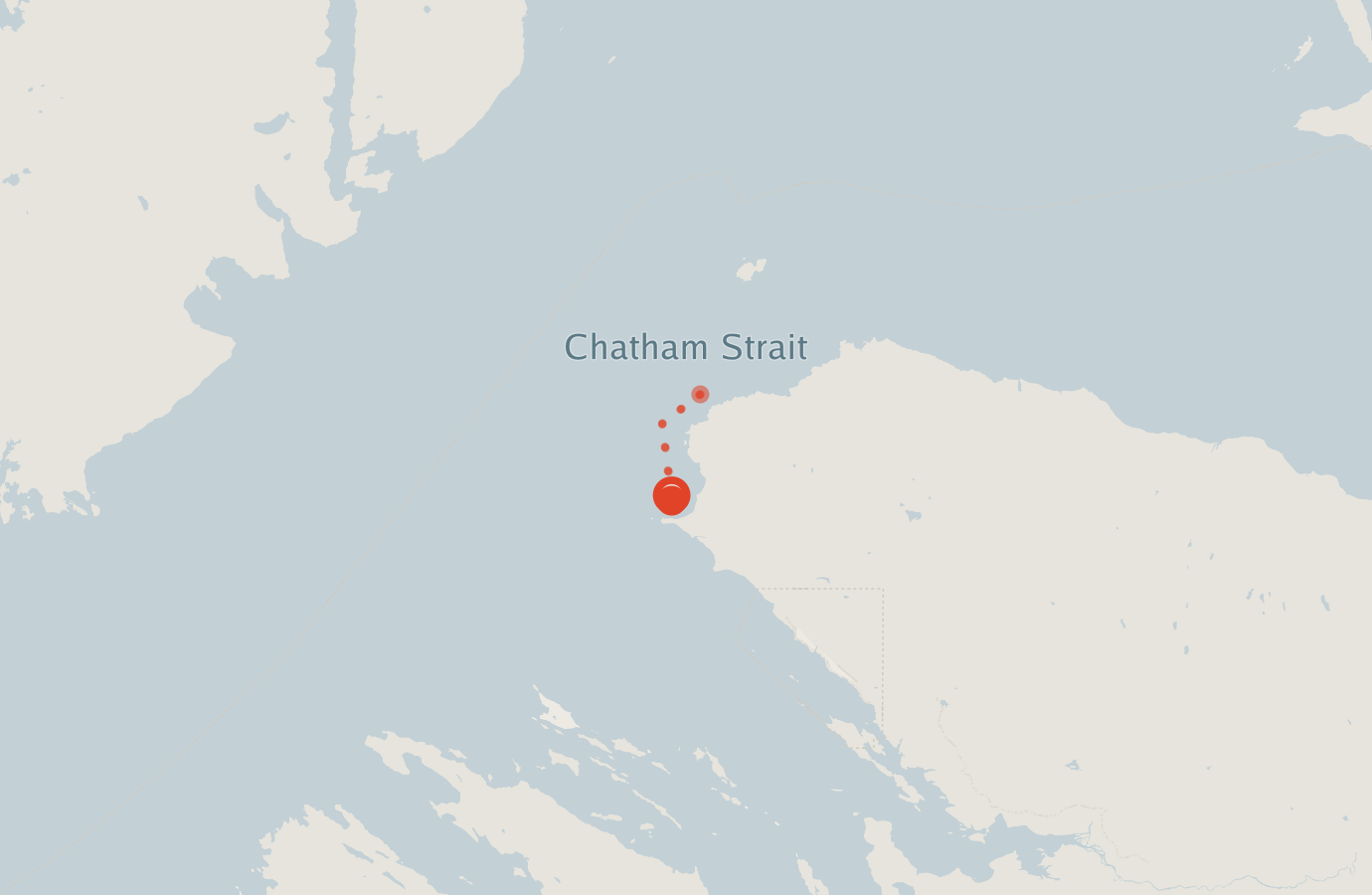 Activity map — real sighting points on an OpenStreetMap basemap