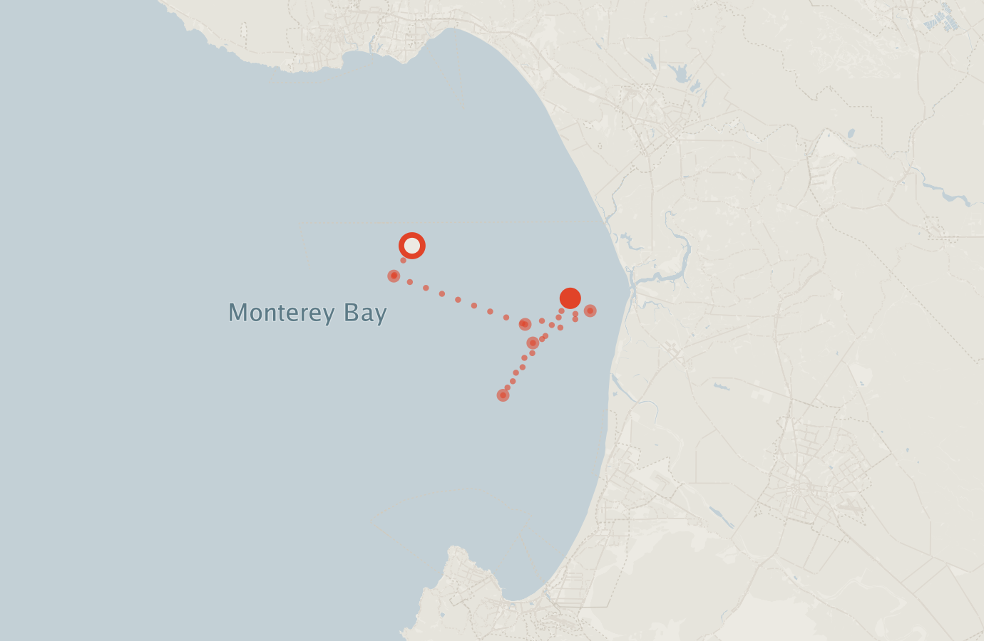 Activity map — real sighting points on an OpenStreetMap basemap