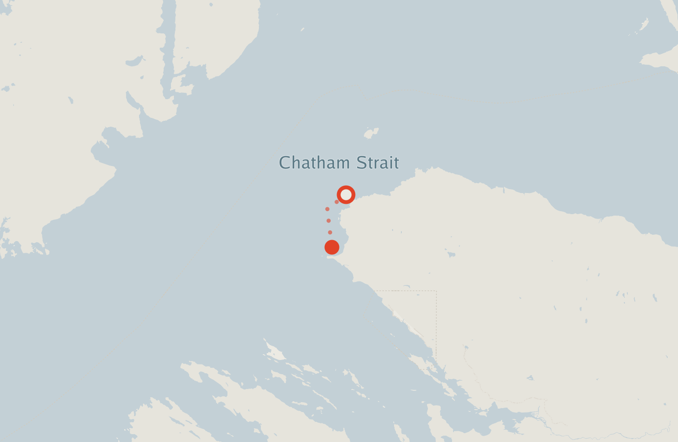 Activity map — real sighting points on an OpenStreetMap basemap