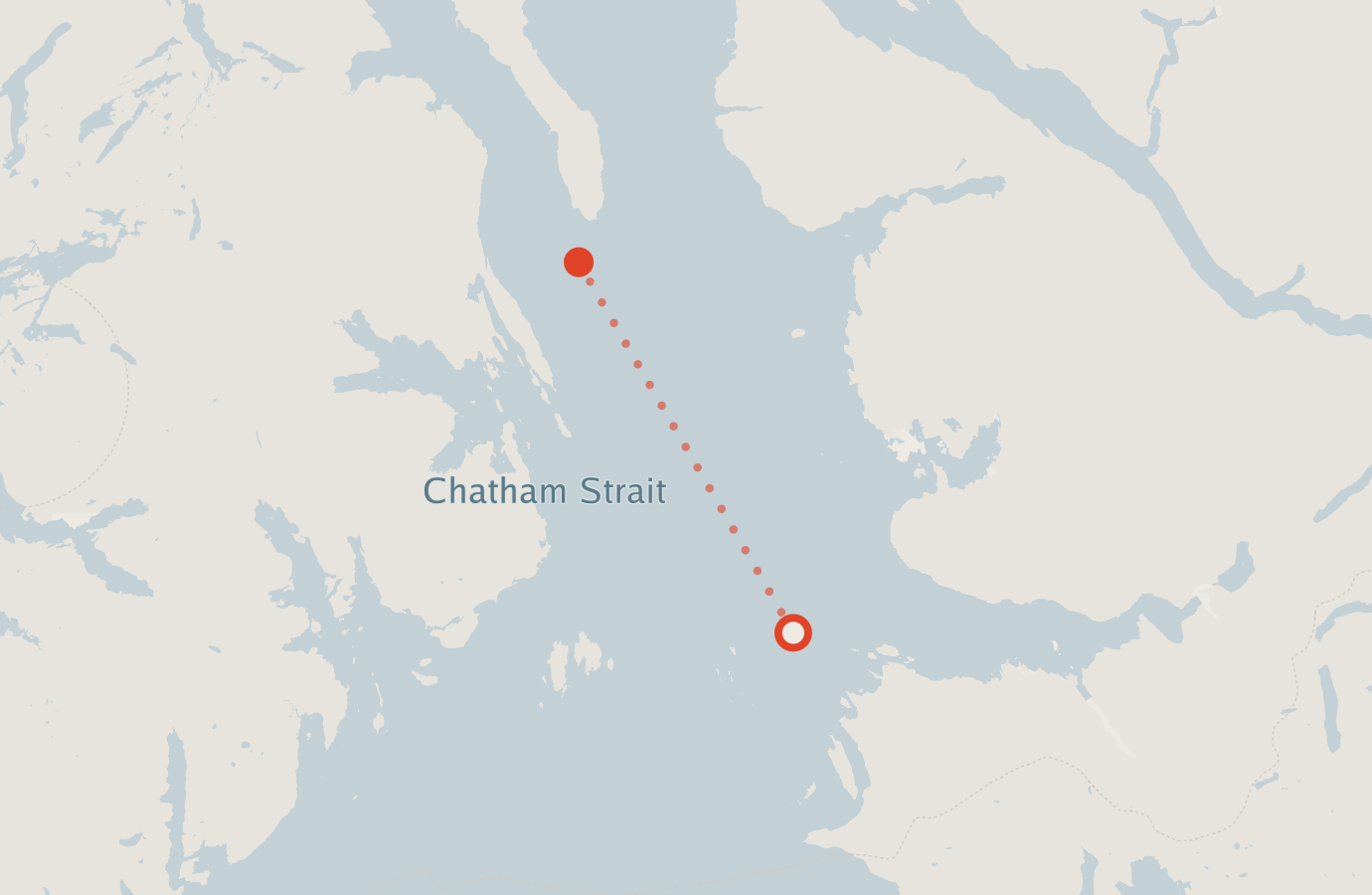 Activity map — real sighting points on an OpenStreetMap basemap