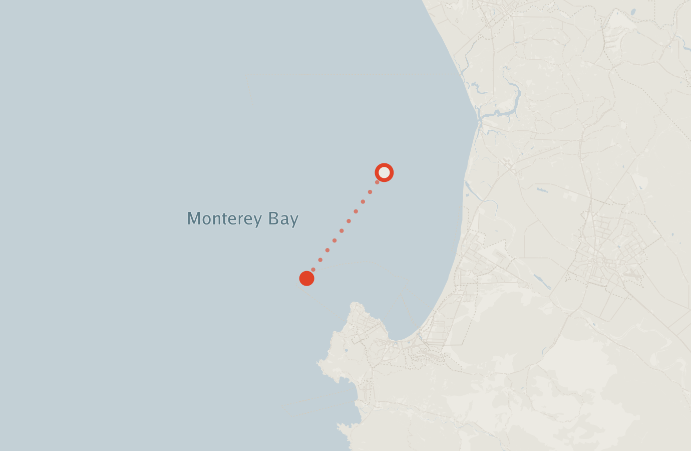 Activity map — real sighting points on an OpenStreetMap basemap
