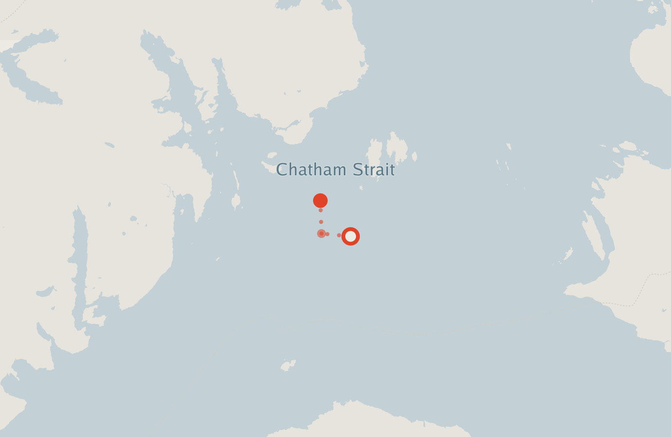 Activity map — real sighting points on an OpenStreetMap basemap
