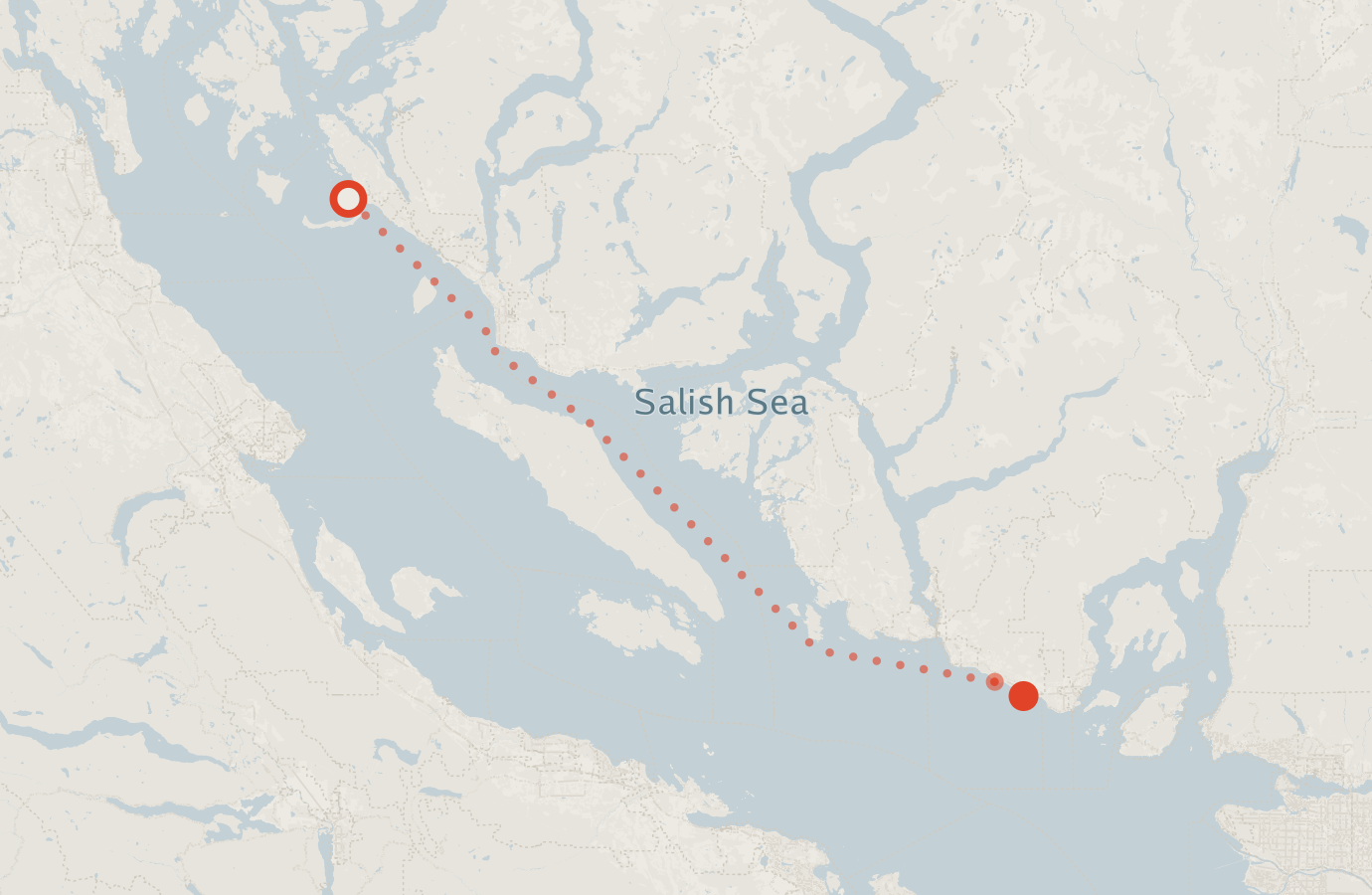 Activity map — real sighting points on an OpenStreetMap basemap