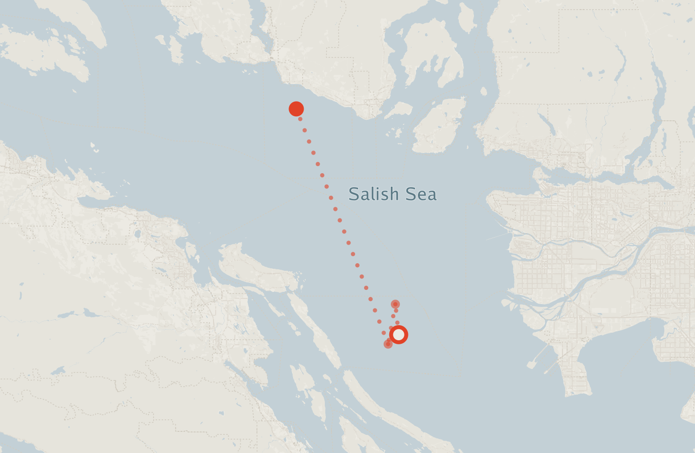 Activity map — real sighting points on an OpenStreetMap basemap