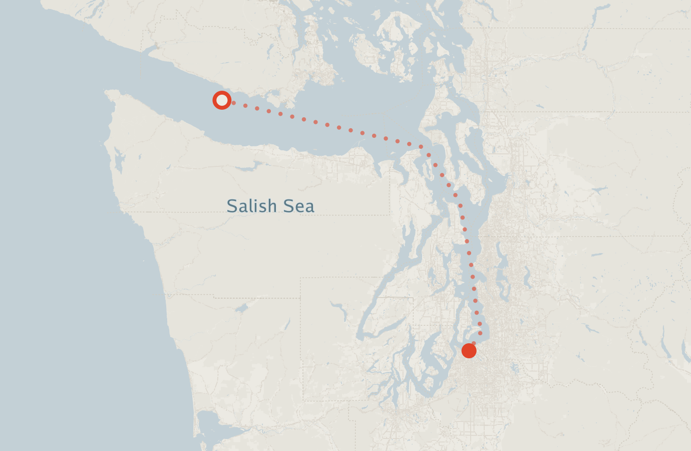 Activity map — real sighting points on an OpenStreetMap basemap