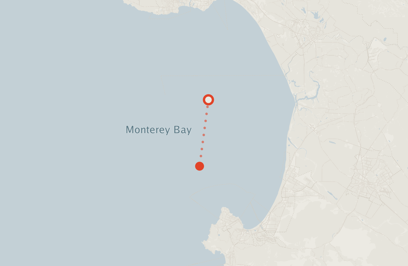 Activity map — real sighting points on an OpenStreetMap basemap