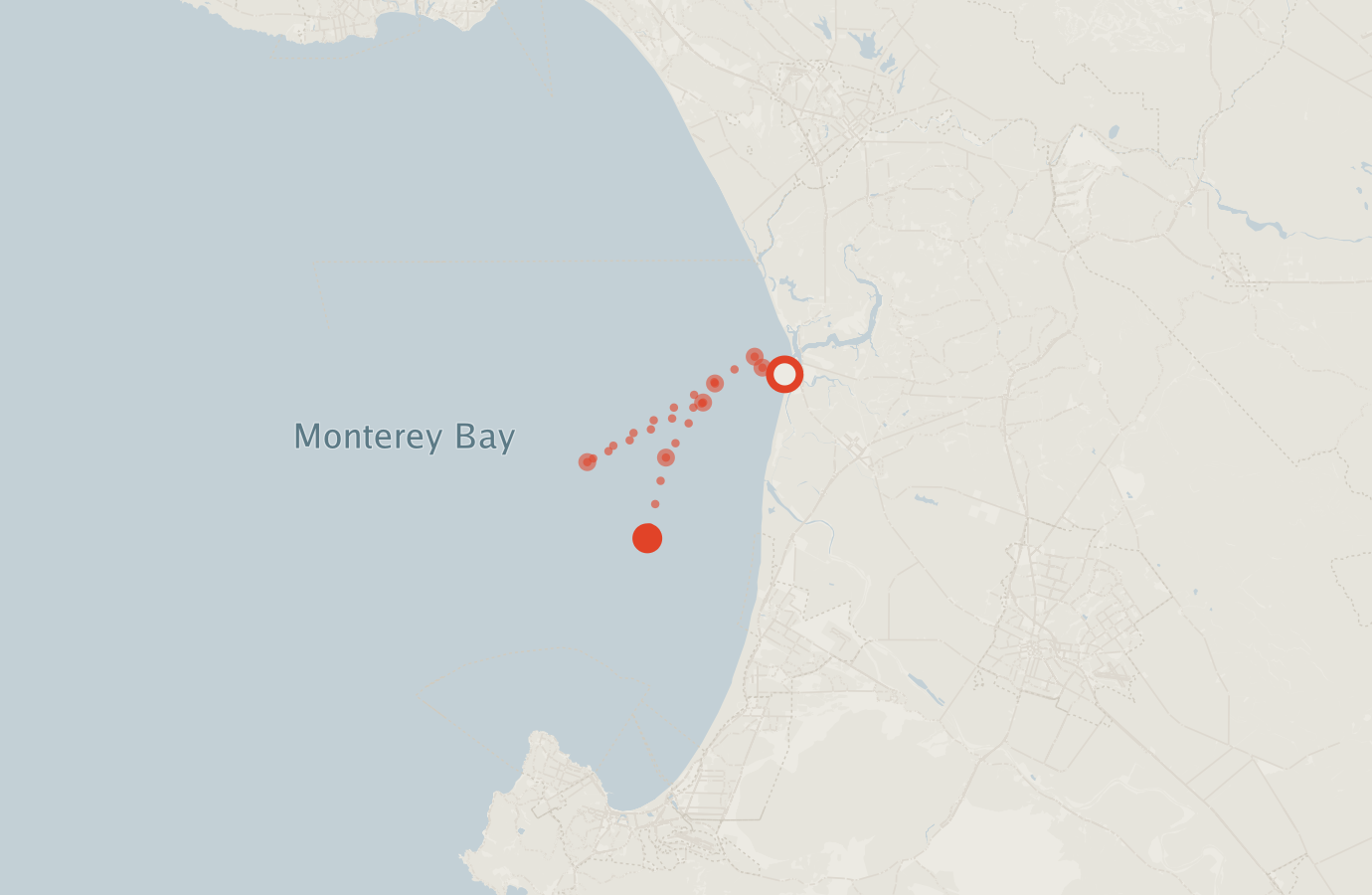 Activity map — real sighting points on an OpenStreetMap basemap