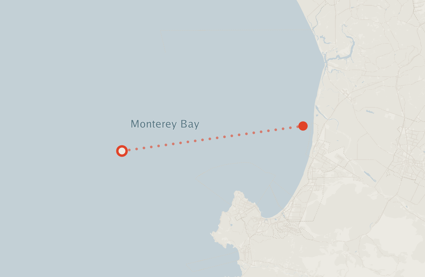 Activity map — real sighting points on an OpenStreetMap basemap