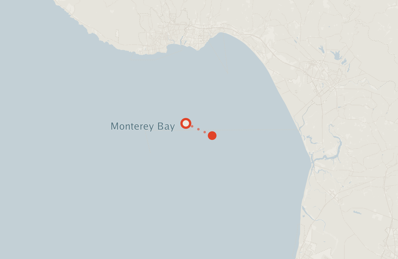 Activity map — real sighting points on an OpenStreetMap basemap