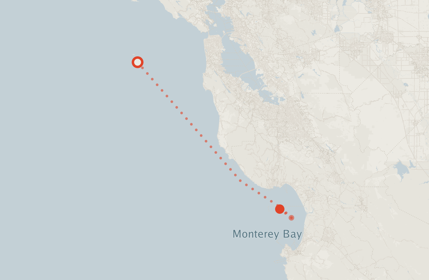 Activity map — real sighting points on an OpenStreetMap basemap