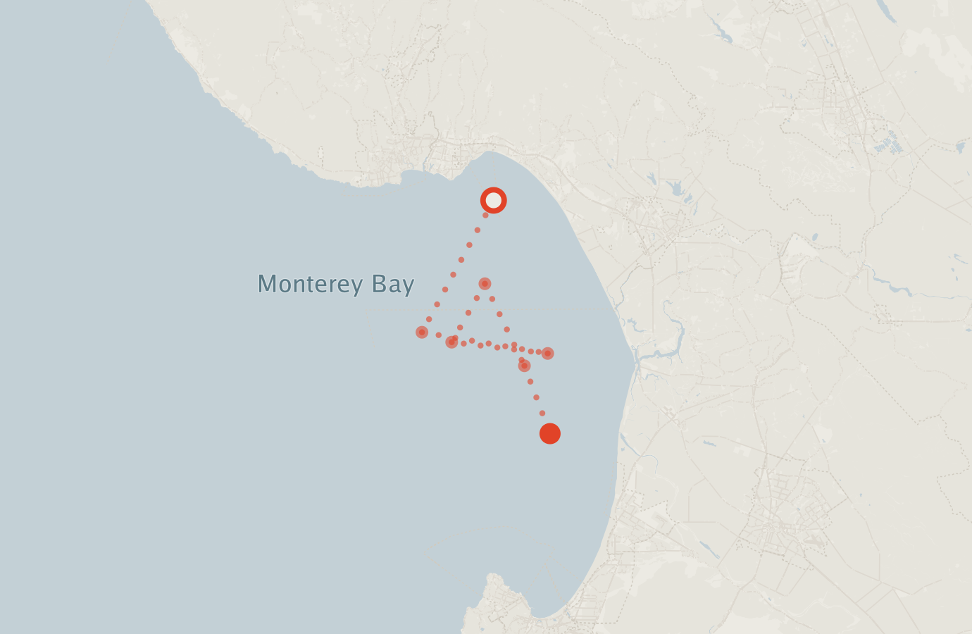 Activity map — real sighting points on an OpenStreetMap basemap