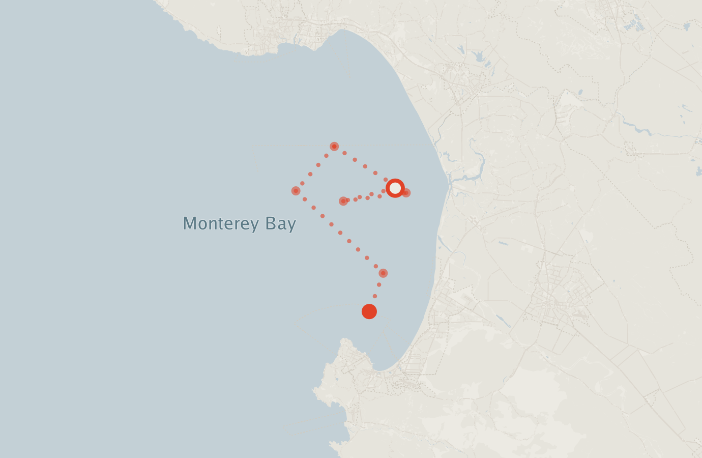 Activity map — real sighting points on an OpenStreetMap basemap