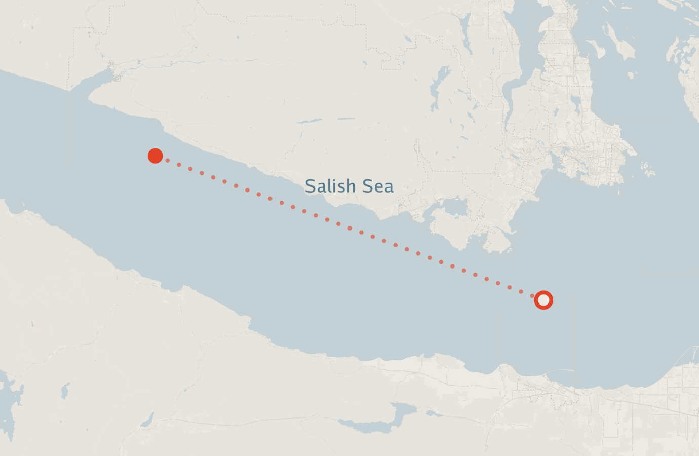 Activity map — real sighting points on an OpenStreetMap basemap