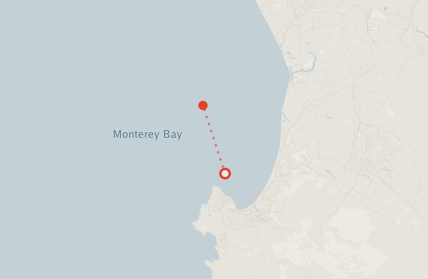 Activity map — real sighting points on an OpenStreetMap basemap