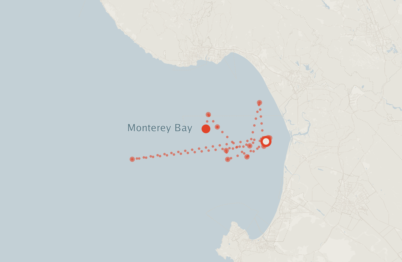 Activity map — real sighting points on an OpenStreetMap basemap