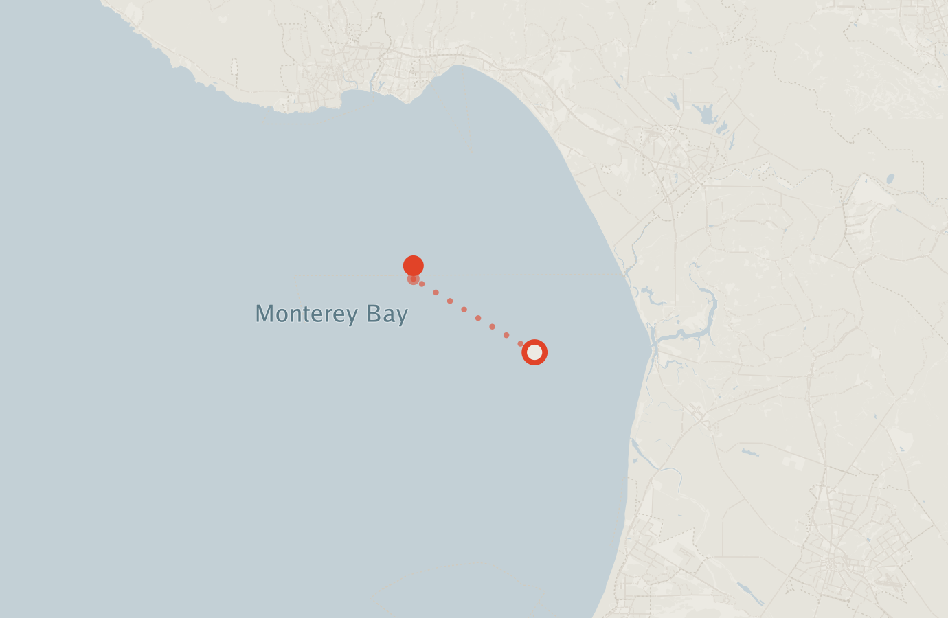 Activity map — real sighting points on an OpenStreetMap basemap