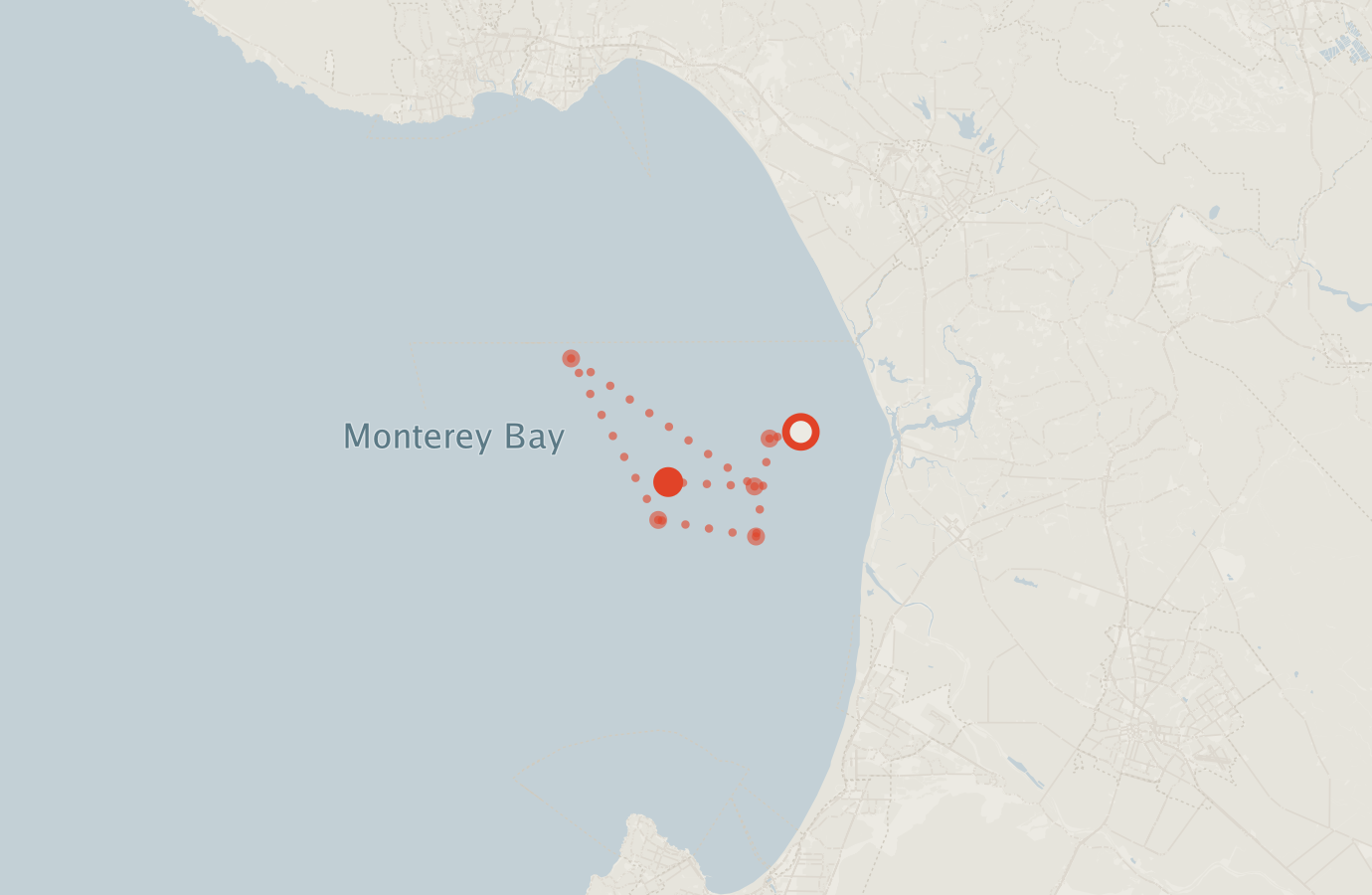 Activity map — real sighting points on an OpenStreetMap basemap