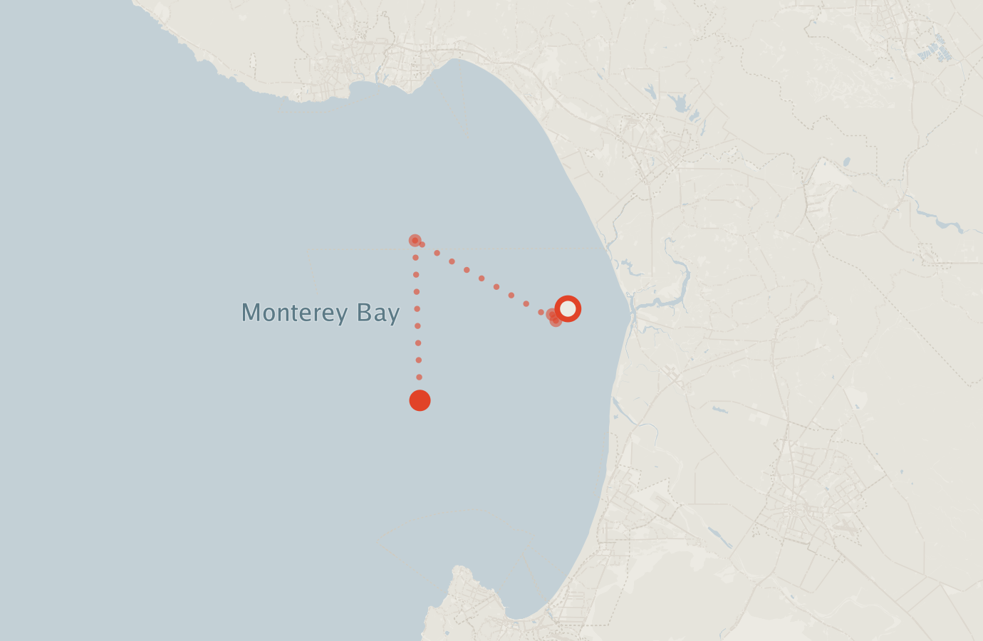 Activity map — real sighting points on an OpenStreetMap basemap