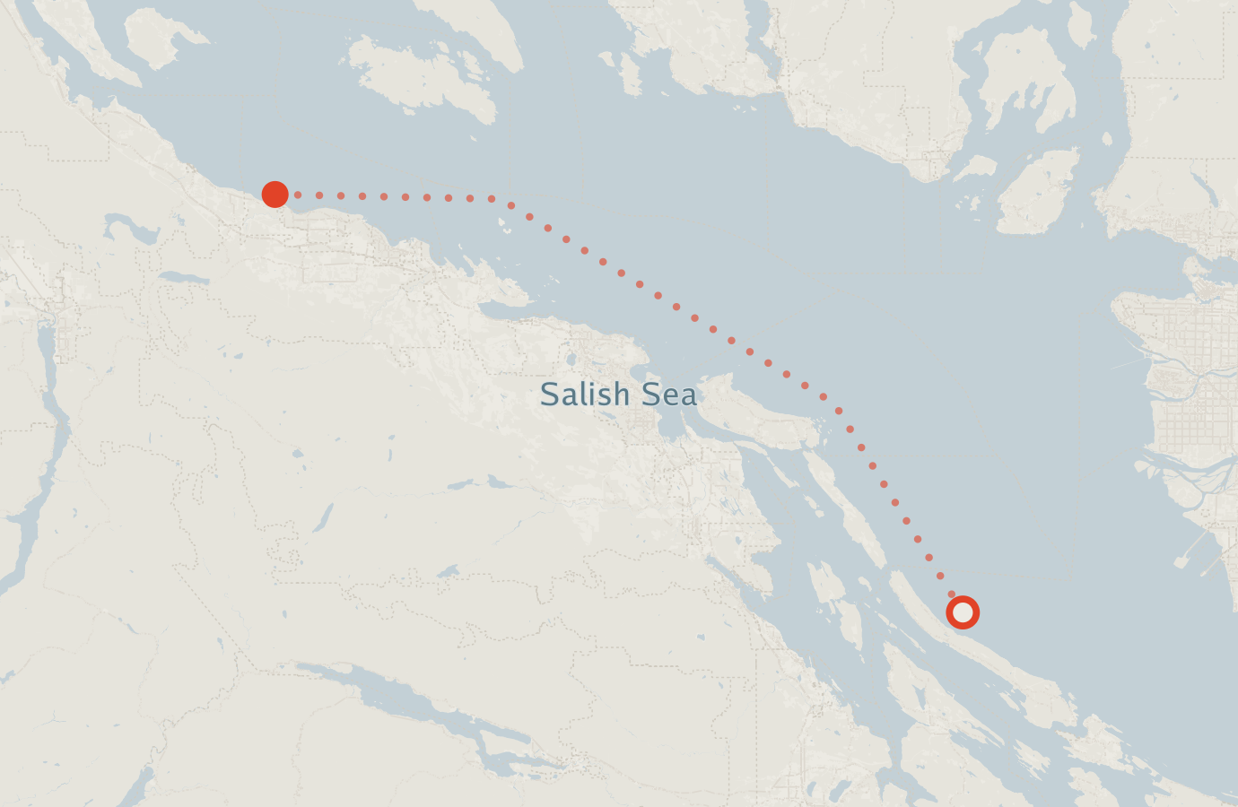 Activity map — real sighting points on an OpenStreetMap basemap