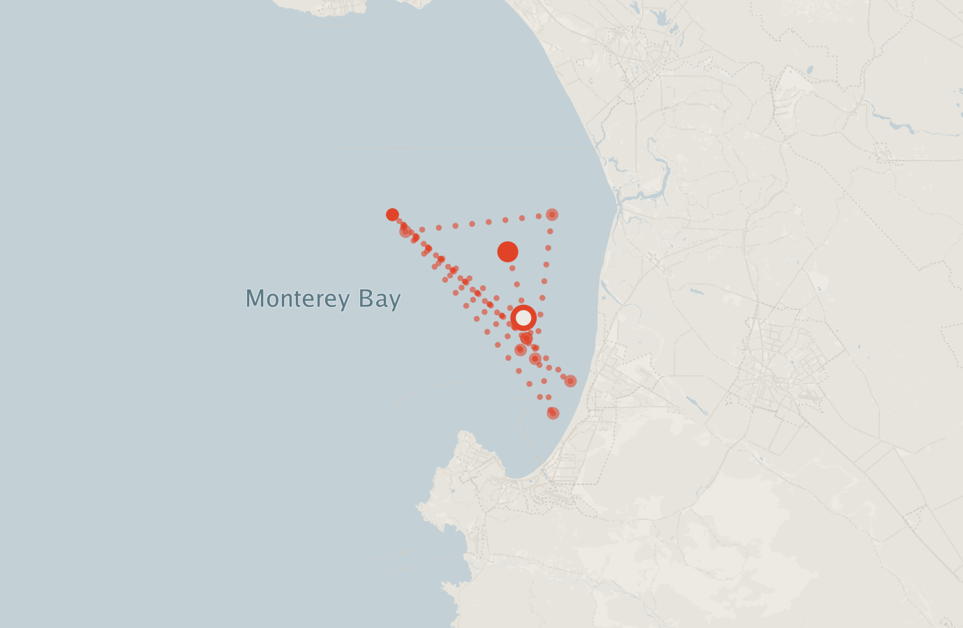 Activity map — real sighting points on an OpenStreetMap basemap