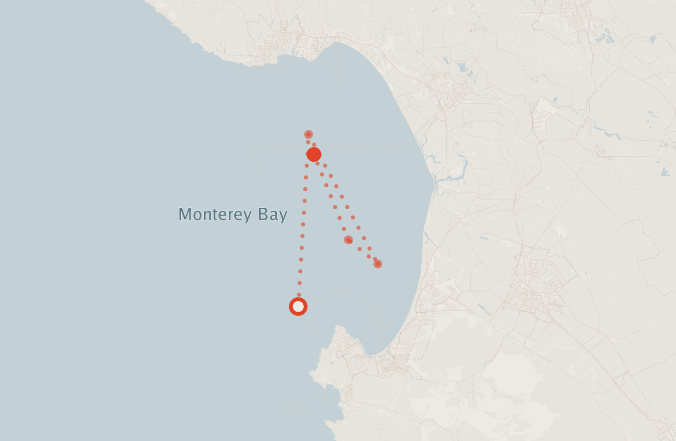 Activity map — real sighting points on an OpenStreetMap basemap