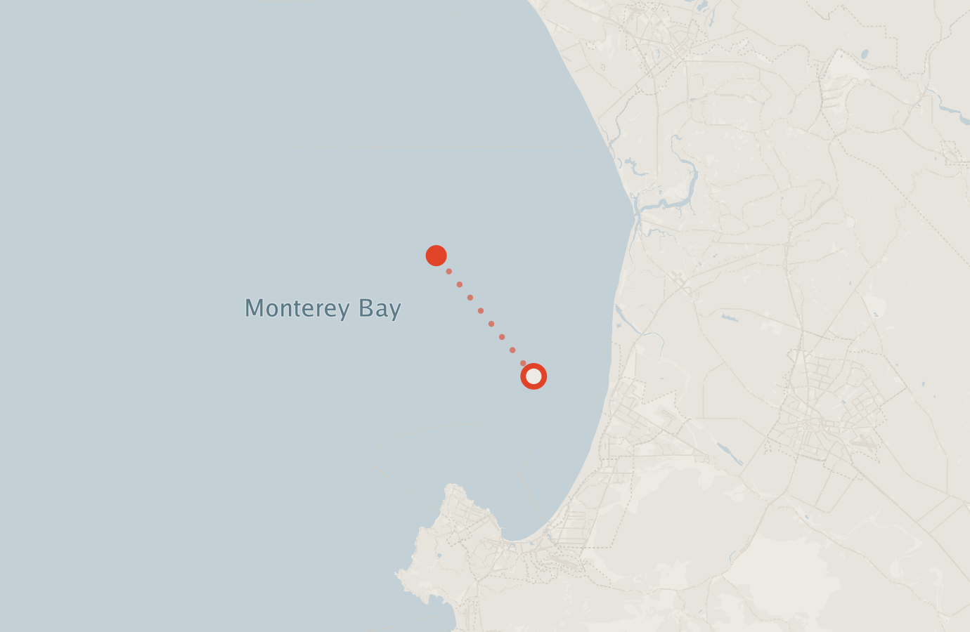 Activity map — real sighting points on an OpenStreetMap basemap