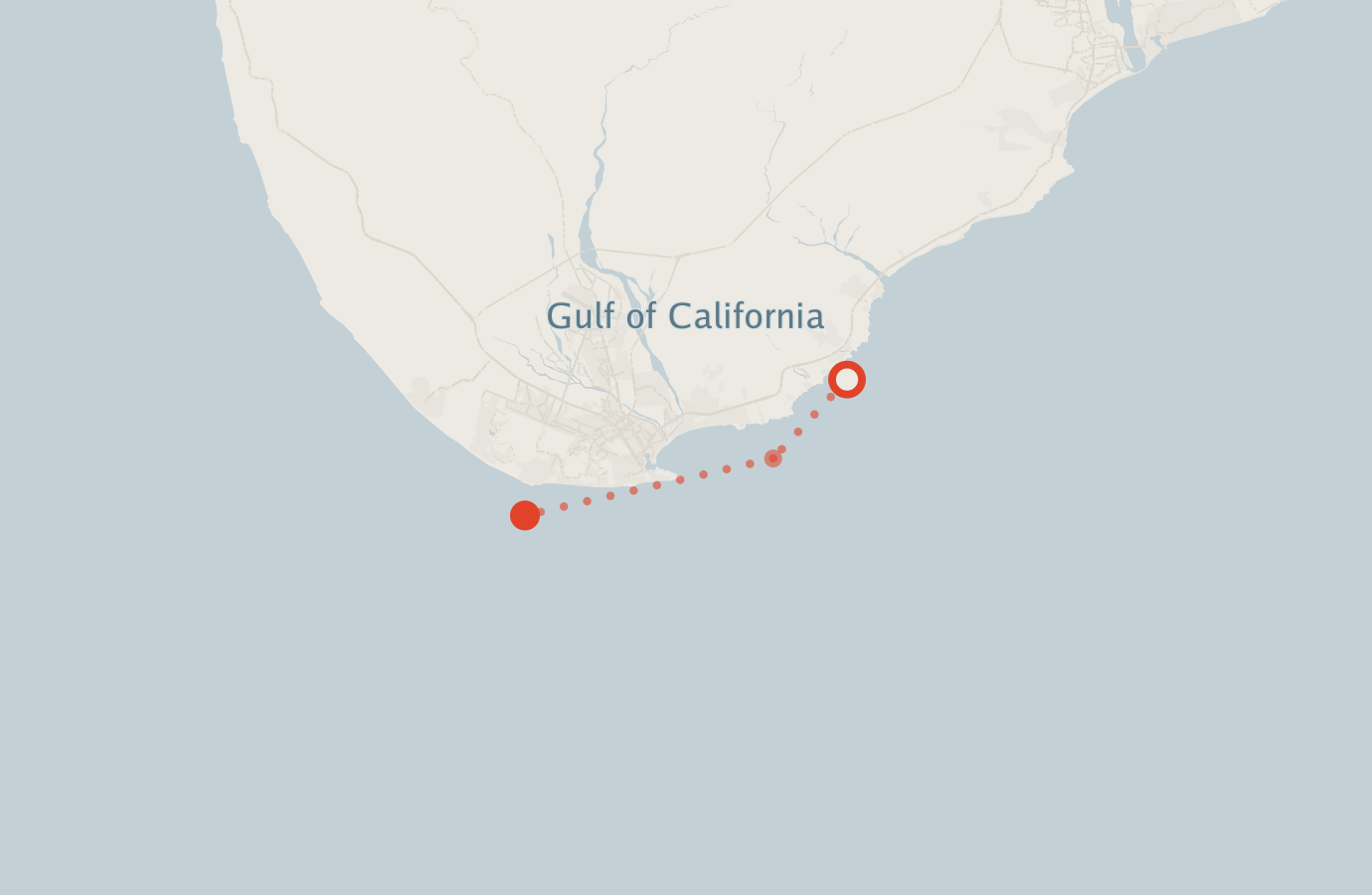 Activity map — real sighting points on an OpenStreetMap basemap