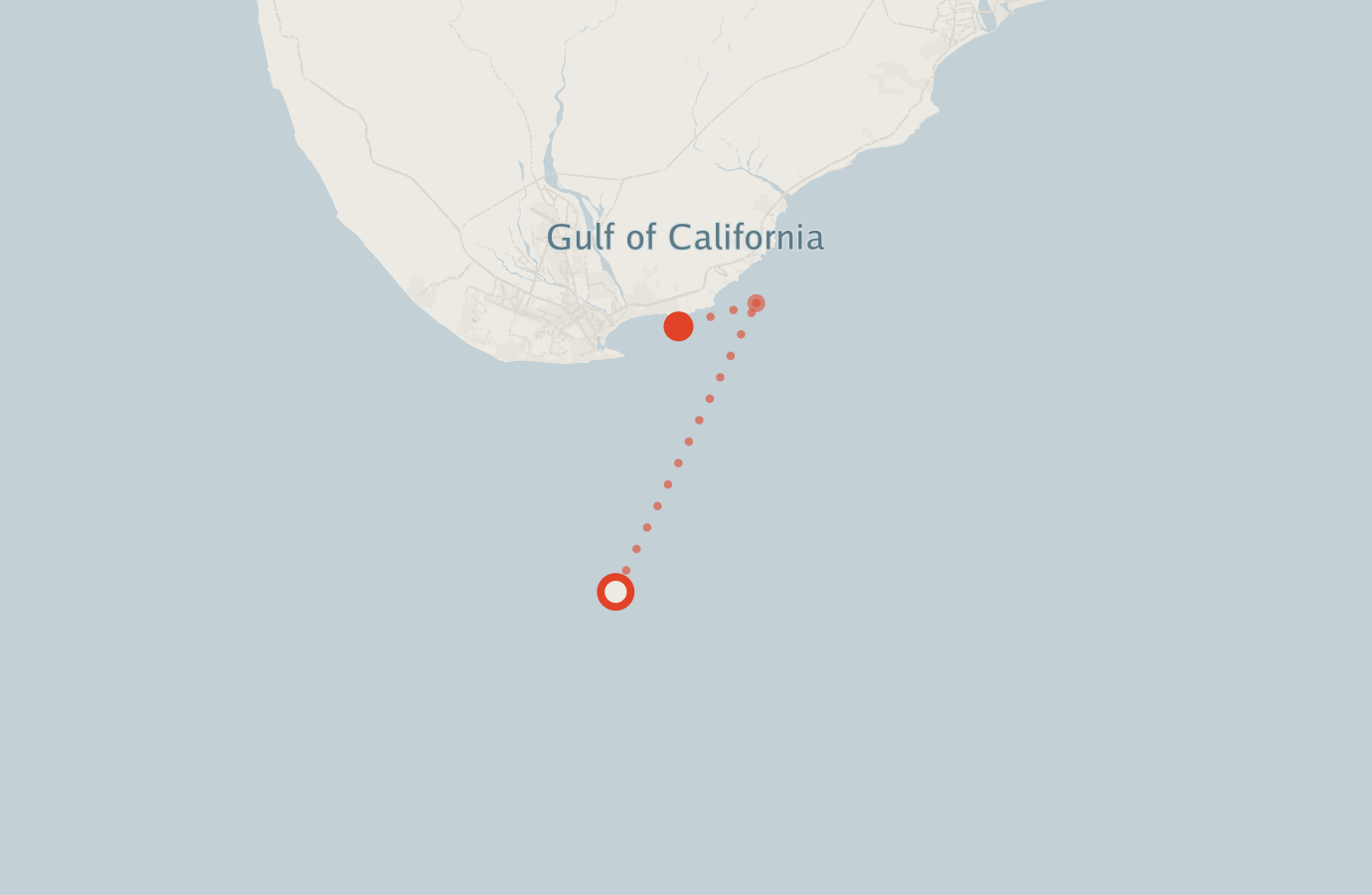 Activity map — real sighting points on an OpenStreetMap basemap